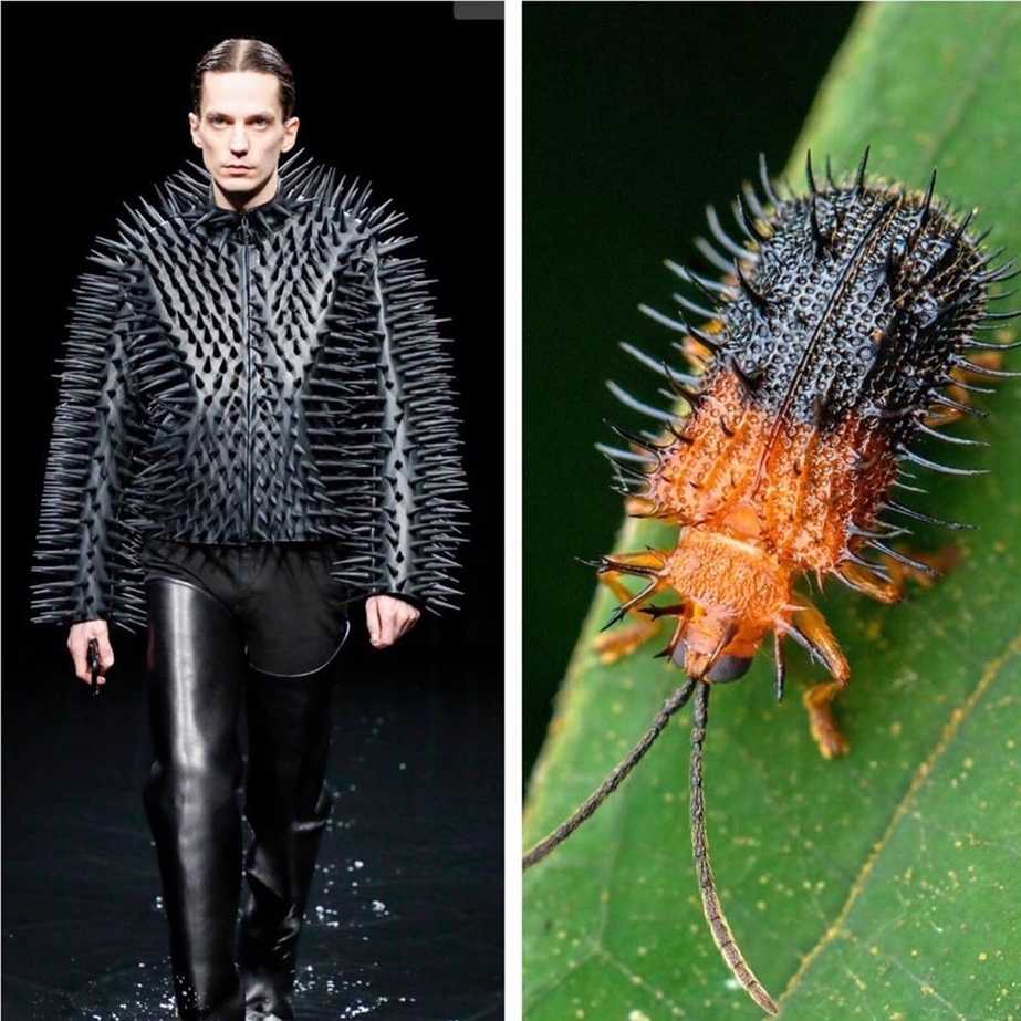 Su tuong quan giua thoi trang va thien nhien anh 1