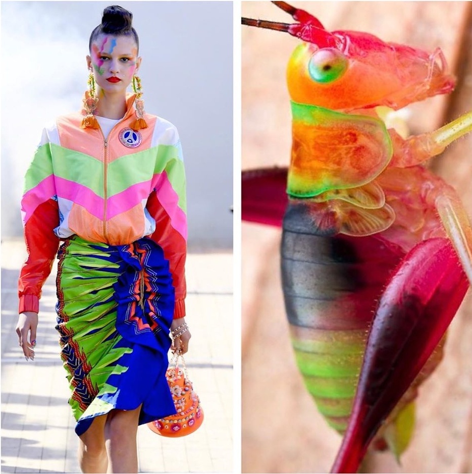 Su tuong quan giua thoi trang va thien nhien anh 5