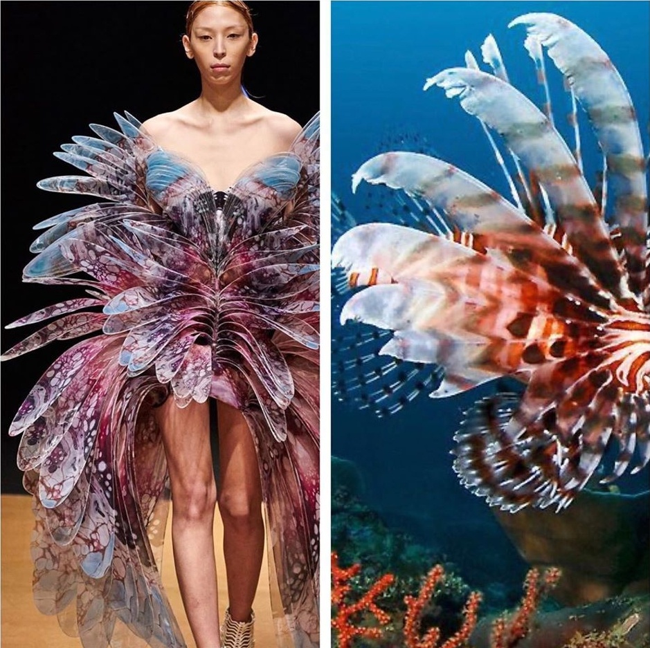 Su tuong quan giua thoi trang va thien nhien anh 6