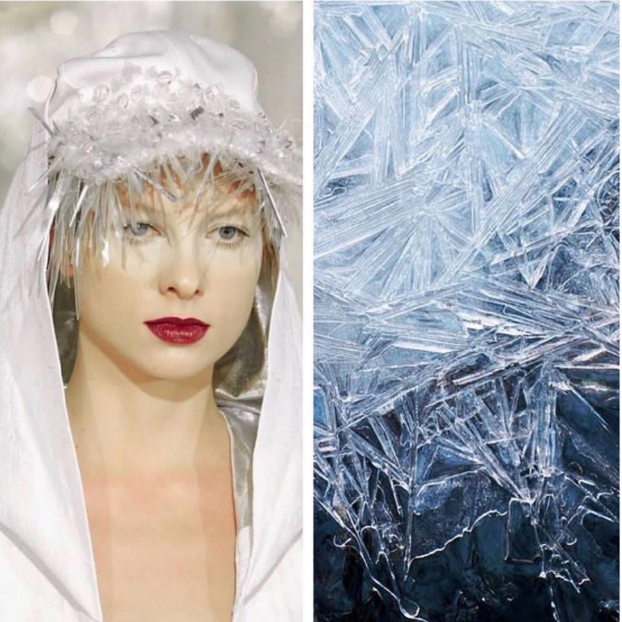 Su tuong quan giua thoi trang va thien nhien anh 8