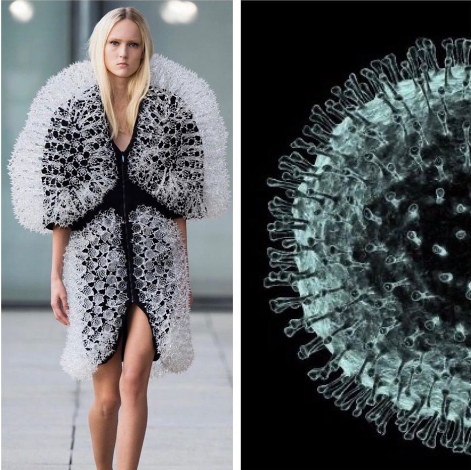 Su tuong quan giua thoi trang va thien nhien anh 7