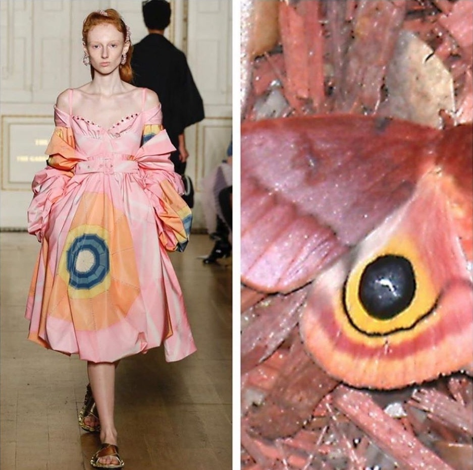 Su tuong quan giua thoi trang va thien nhien anh 9