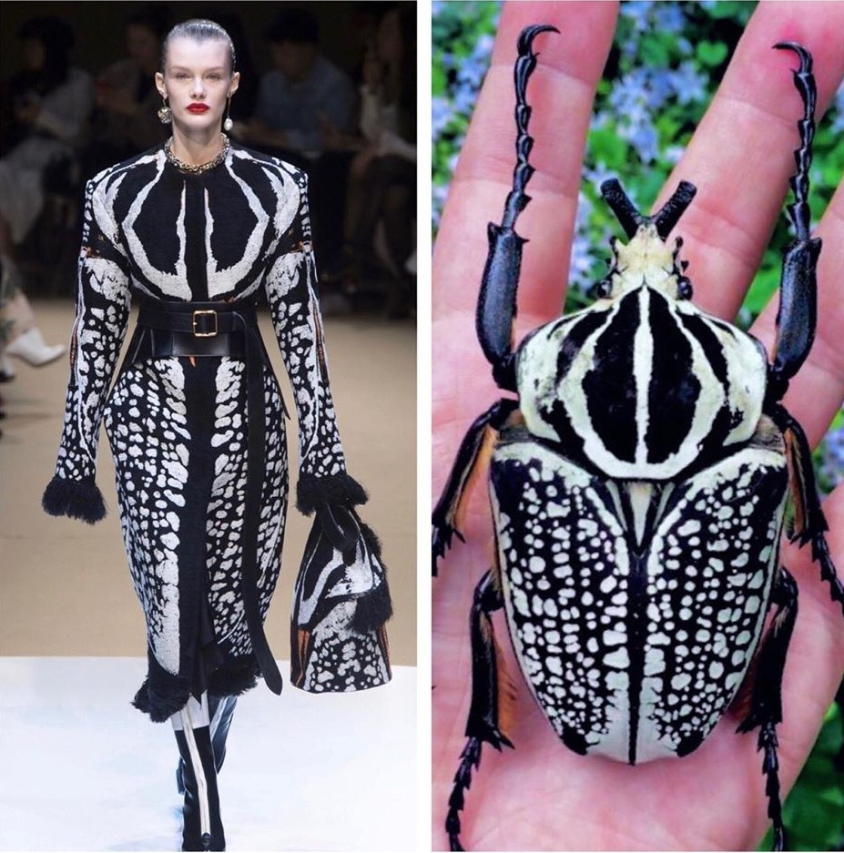 Su tuong quan giua thoi trang va thien nhien anh 3