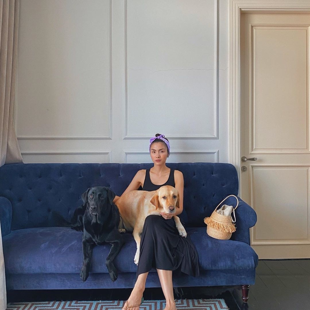 Sao Viet chuong do goi cam anh 5