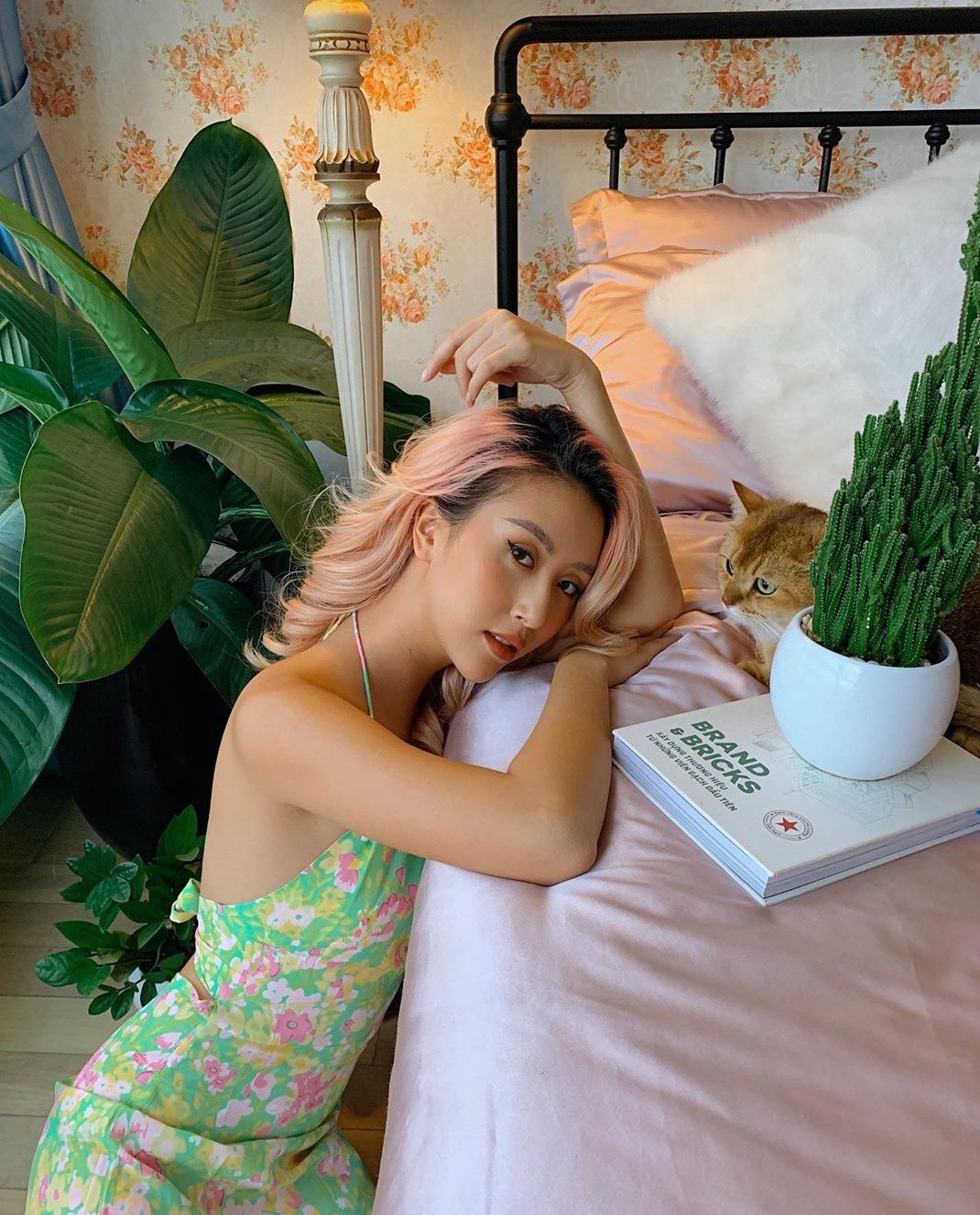 Sao Viet chup anh tai nha nhu tap chi anh 9