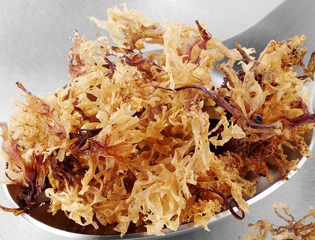 Kim Kardashian tập luyện giữ dáng ảnh 3 Kim Kardashian tap luyen giu dang anh 3