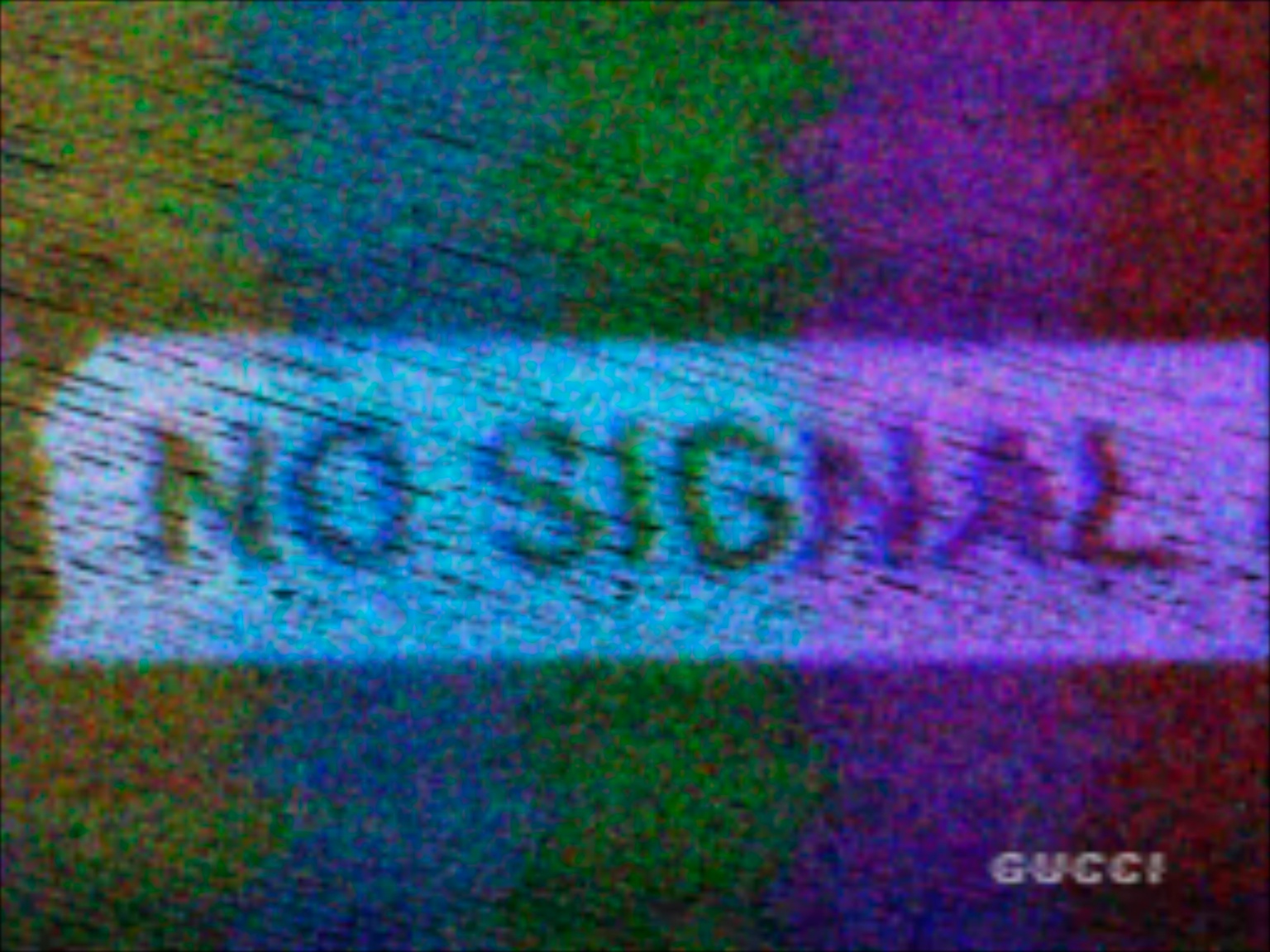 Doan phim bi an Gucci anh 2