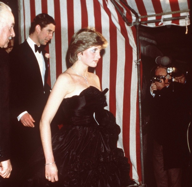 Vay cuoi Cong nuong Diana anh 3