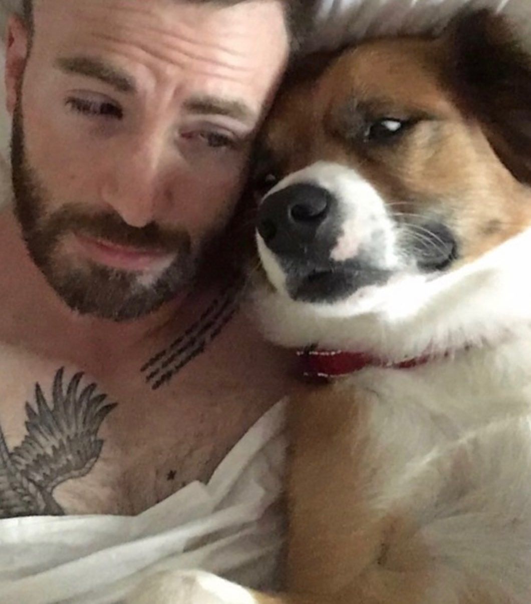 Hinh xam Chris Evans anh 7