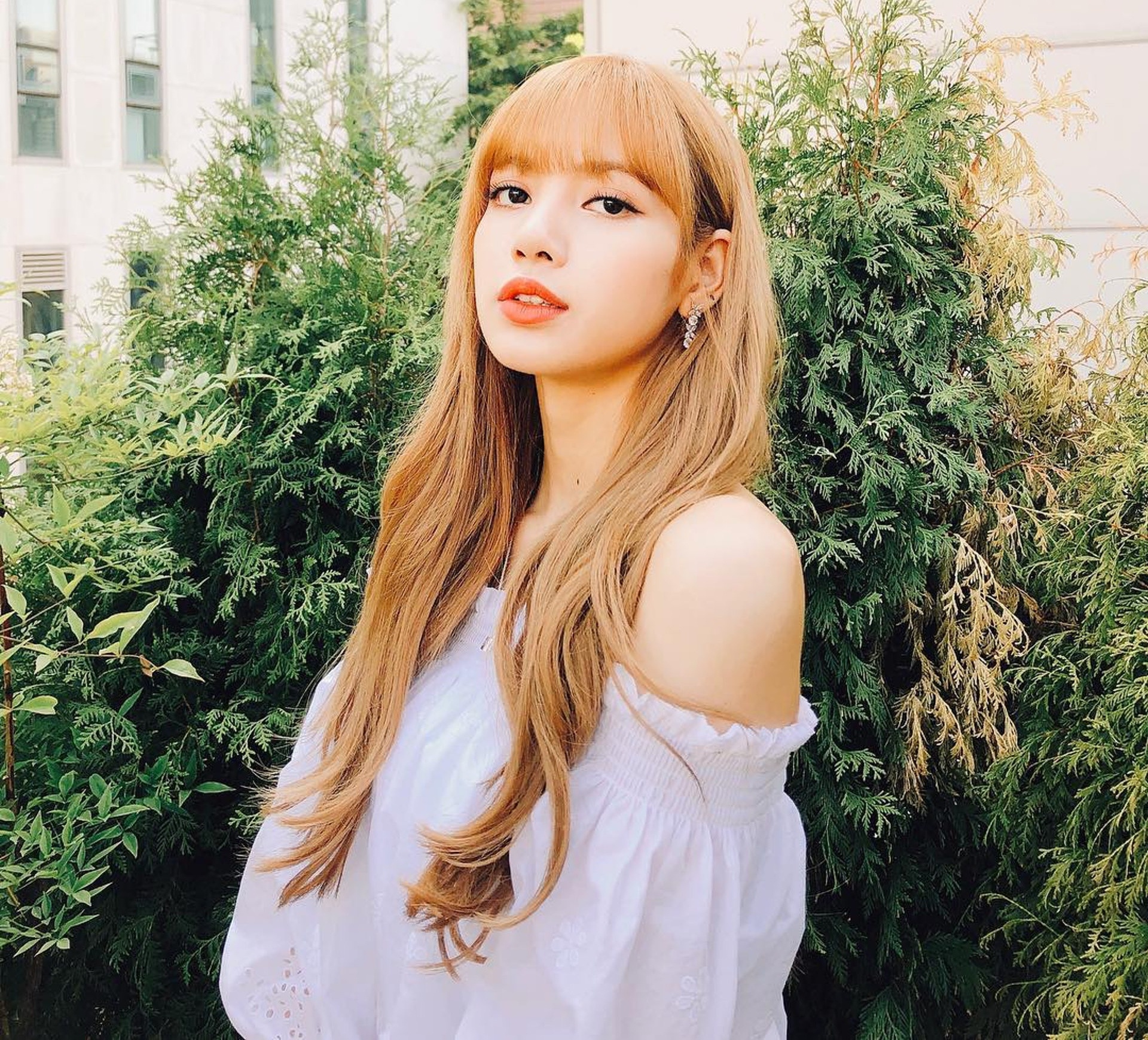 meo chon co ao dep anh 4