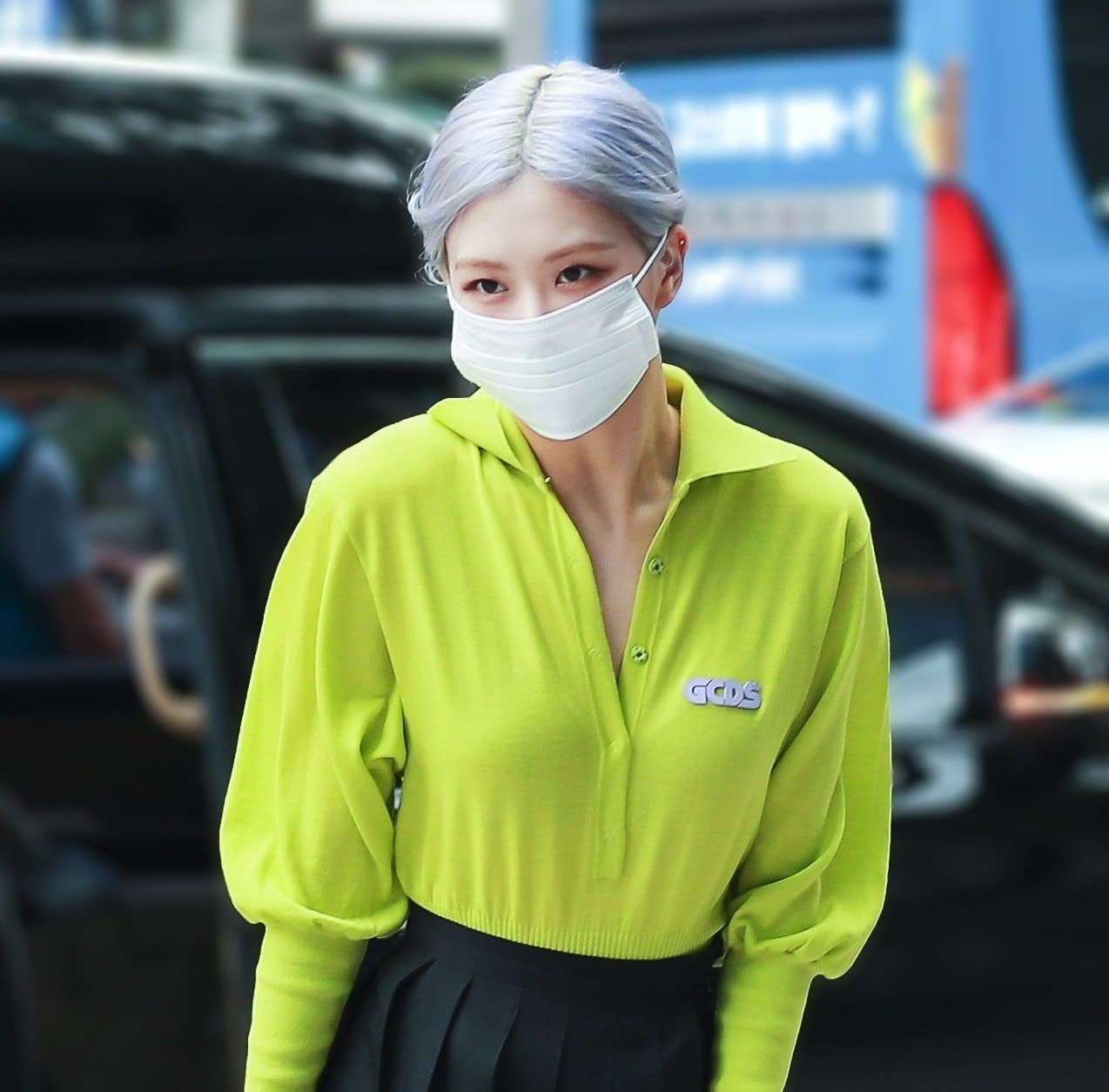 meo chon co ao dep anh 2