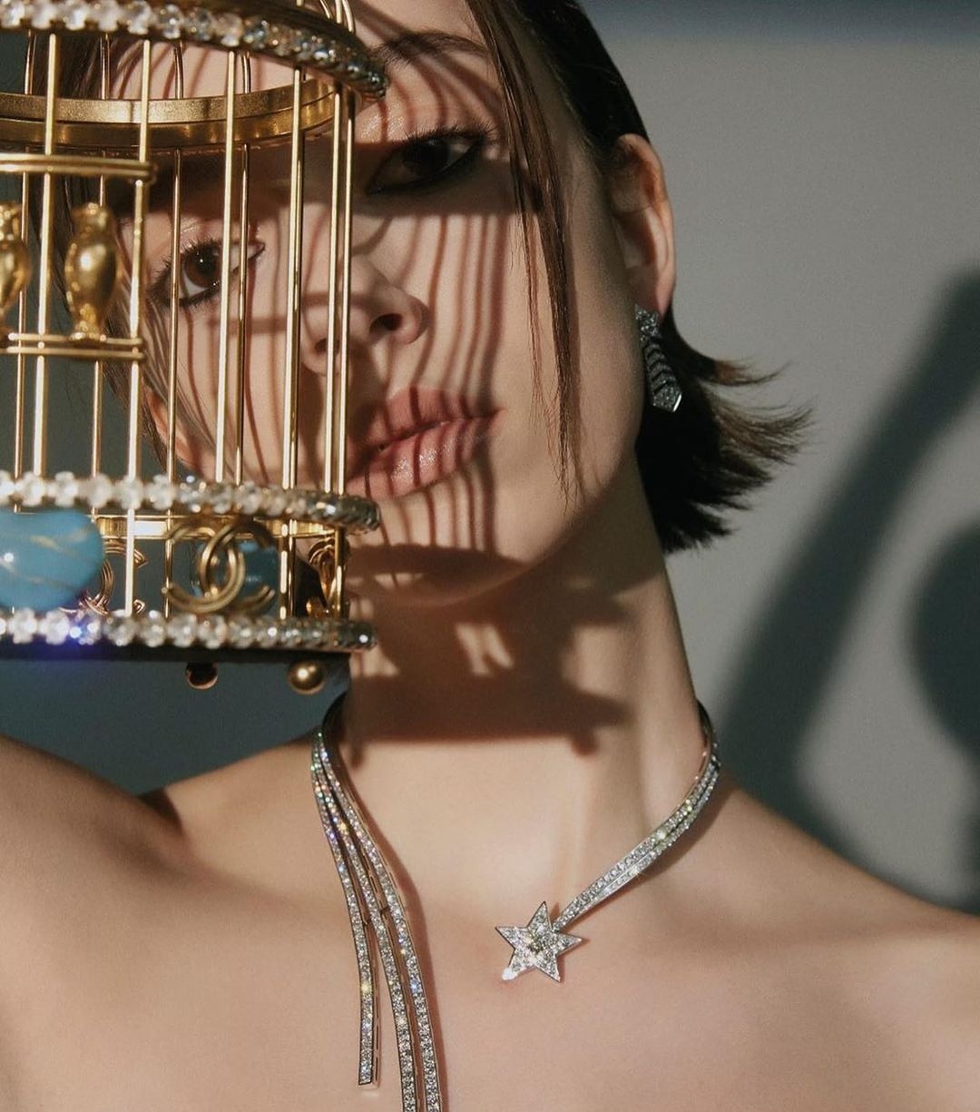 Tui xach long chim Chanel anh 2