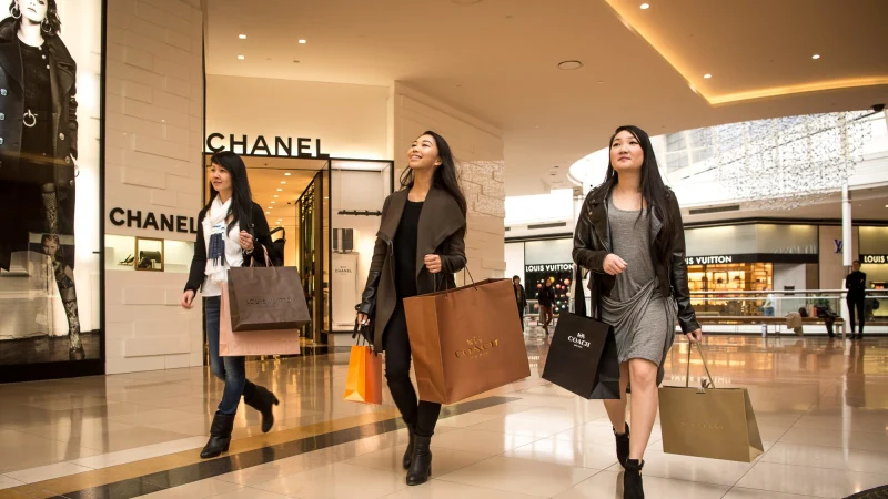 Thue tui xach hang hieu anh 2