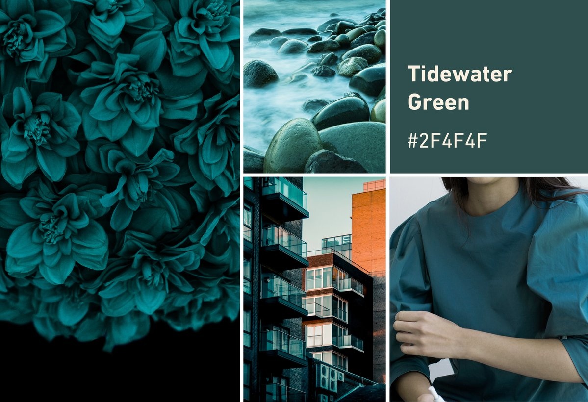 Mau sac nam 2021 anh 5