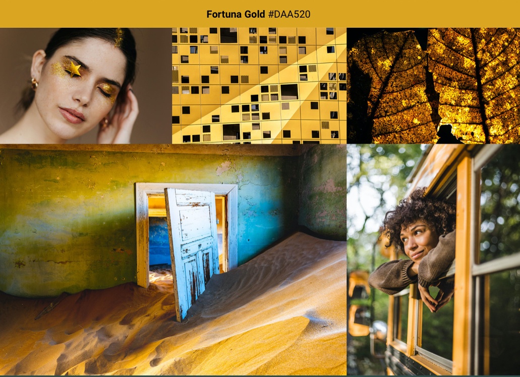 Mau sac nam 2021 anh 8