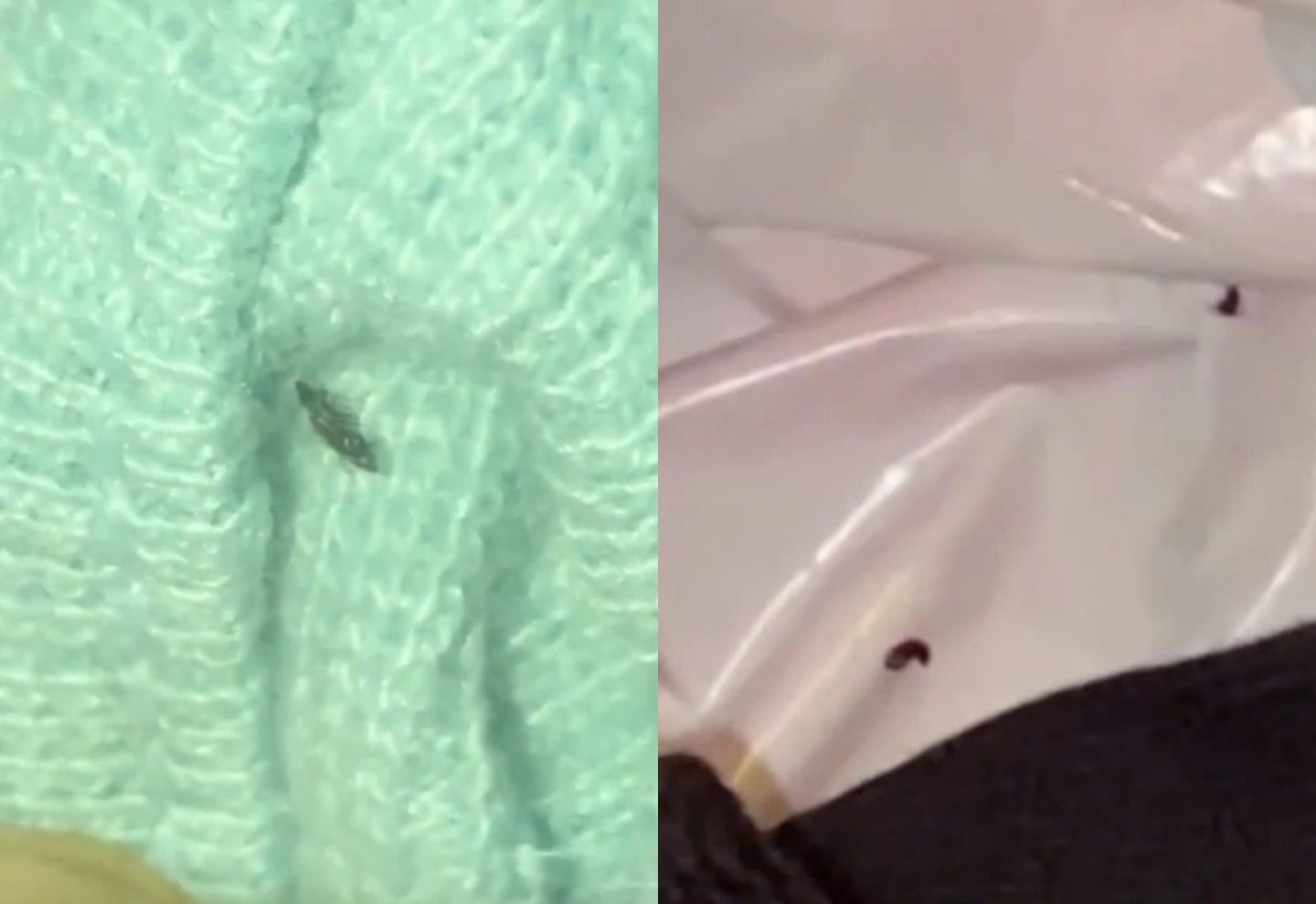 Khach hang tim thay bo chet trong quan ao cua thuong hieu My hinh anh