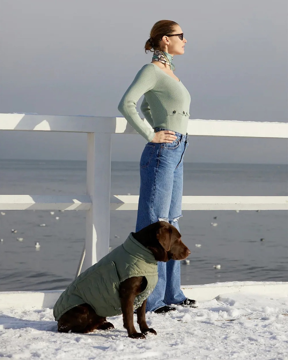 Trang phục cho chó ảnh 3 Trang phuc cho cho anh 3