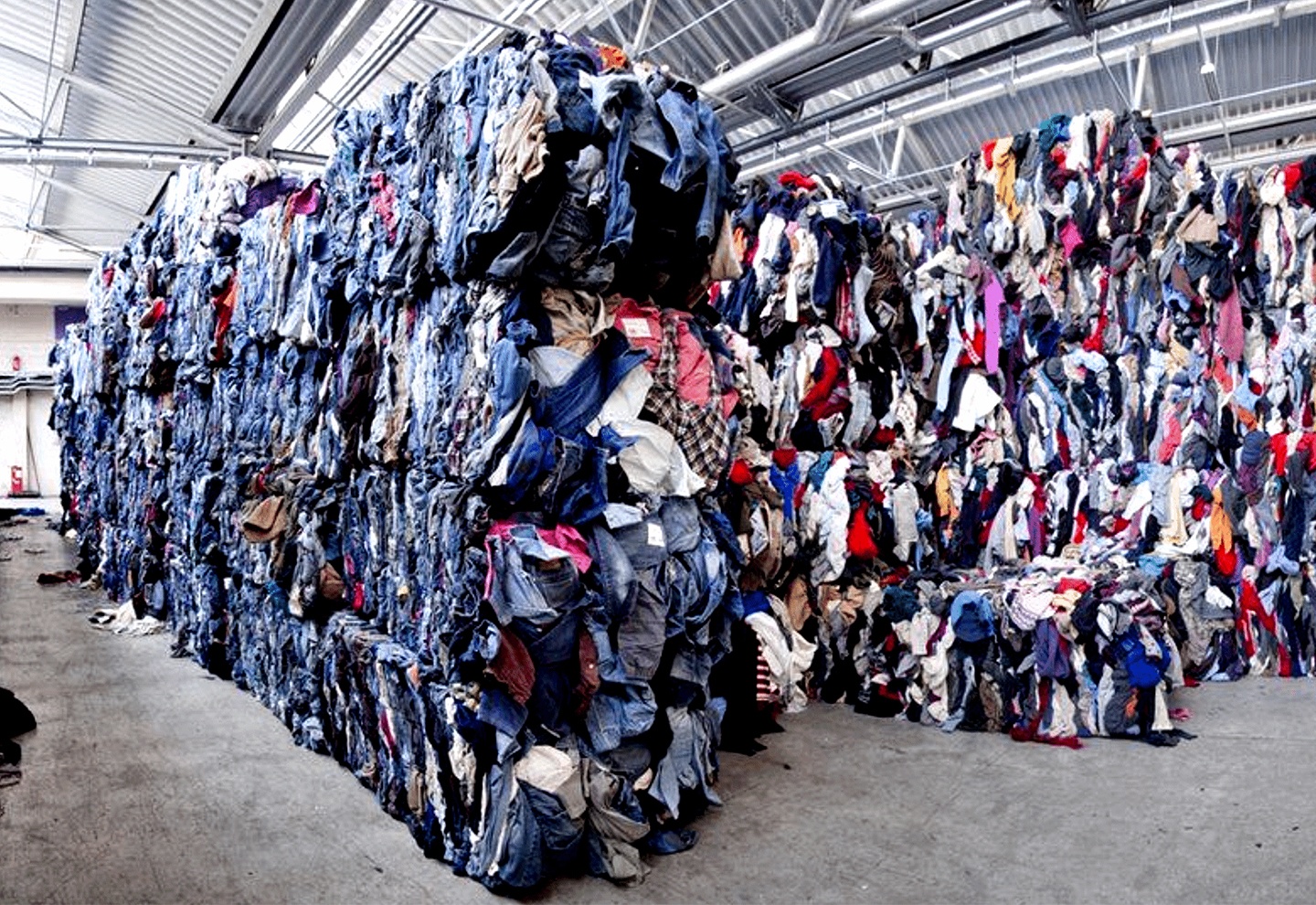 Nhan vien tiet lo cach thuong hieu thoi trang xu ly hang loi hinh anh