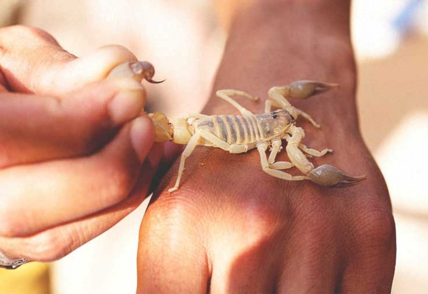 Nu dien vien dung noc doc bo cap duong da hinh anh