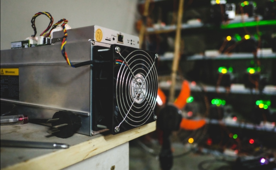 Dan dao Bitcoin o Viet Nam bo nghe du gia tren 30.000 USD hinh anh