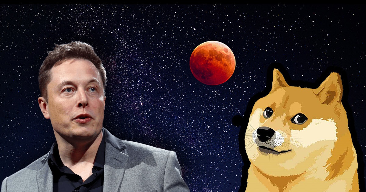 Elon Musk co the bi dieu tra vi thoi gia Dogecoin hinh anh