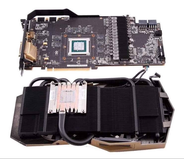 Thi truong trau cay tien dien tu tai Viet Nam bien dong manh anh 4