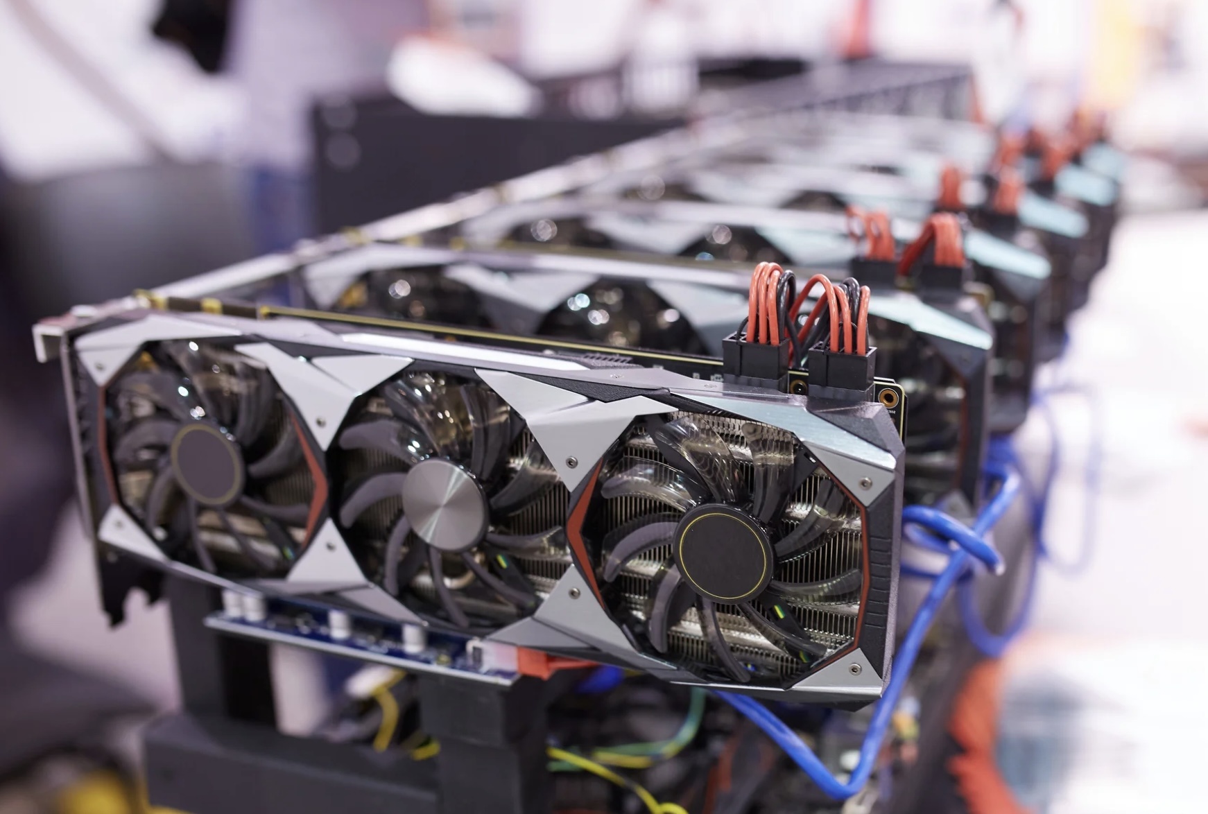 'Trau cay coin' duoc gia, nhieu nguoi ban chot loi hinh anh