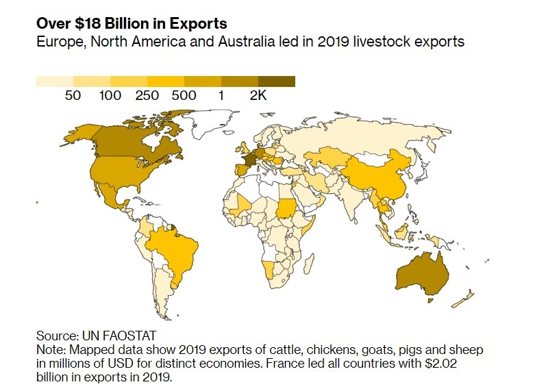 Gia suc xuat khau bi nguoc dai anh 2