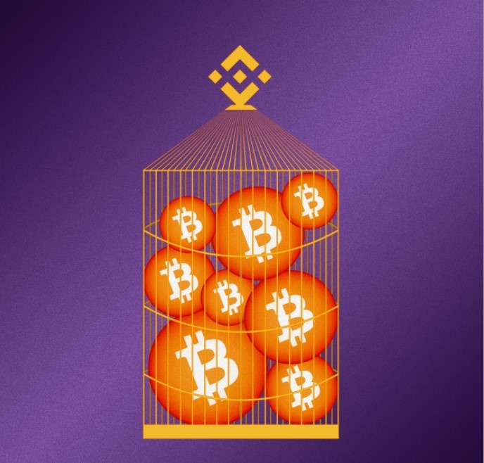 Nha dau tu muon doi tien Binance anh 1