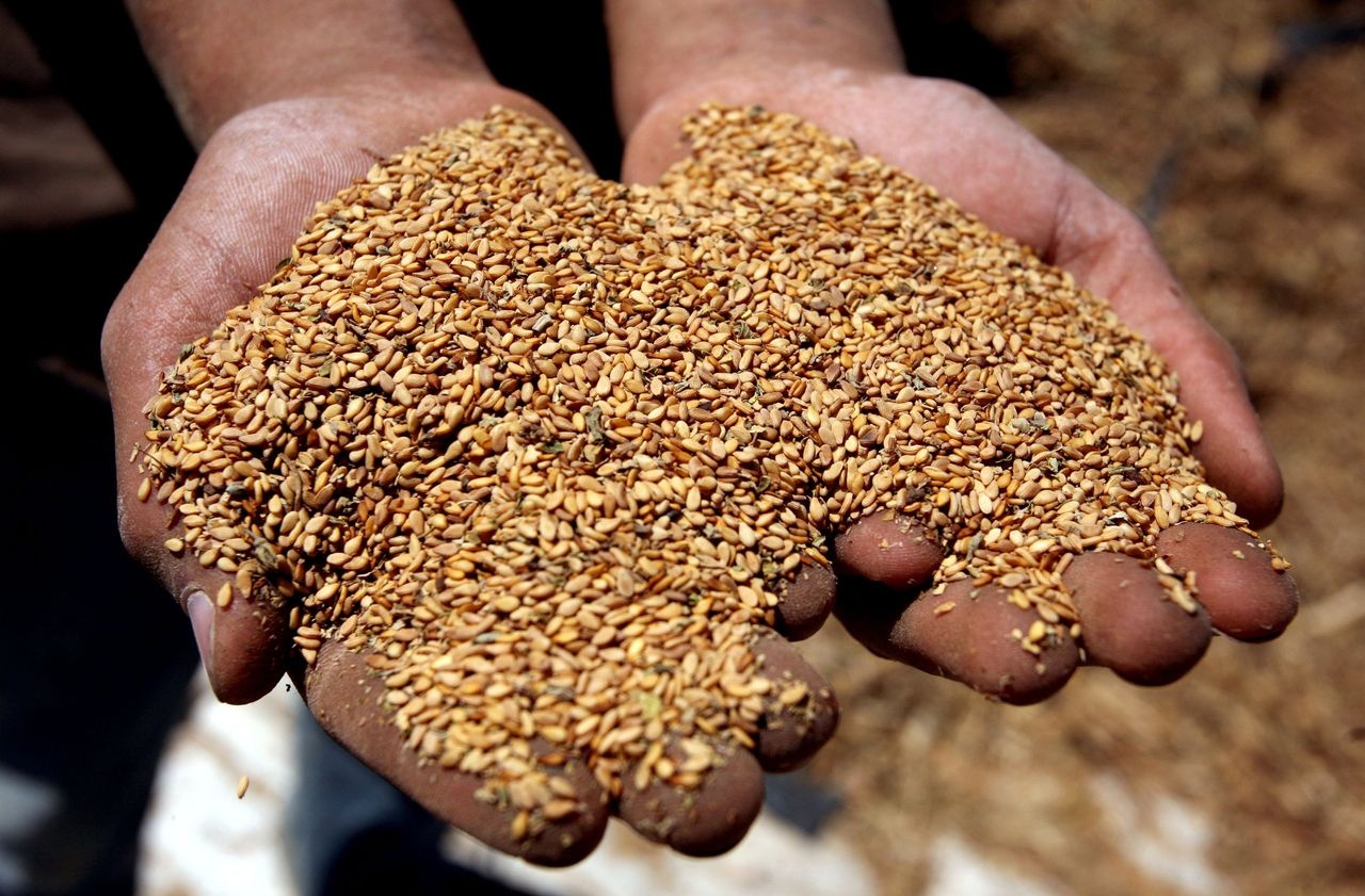 EU manh tay voi thuc pham chua Ethylene Oxide sau be boi anh 4