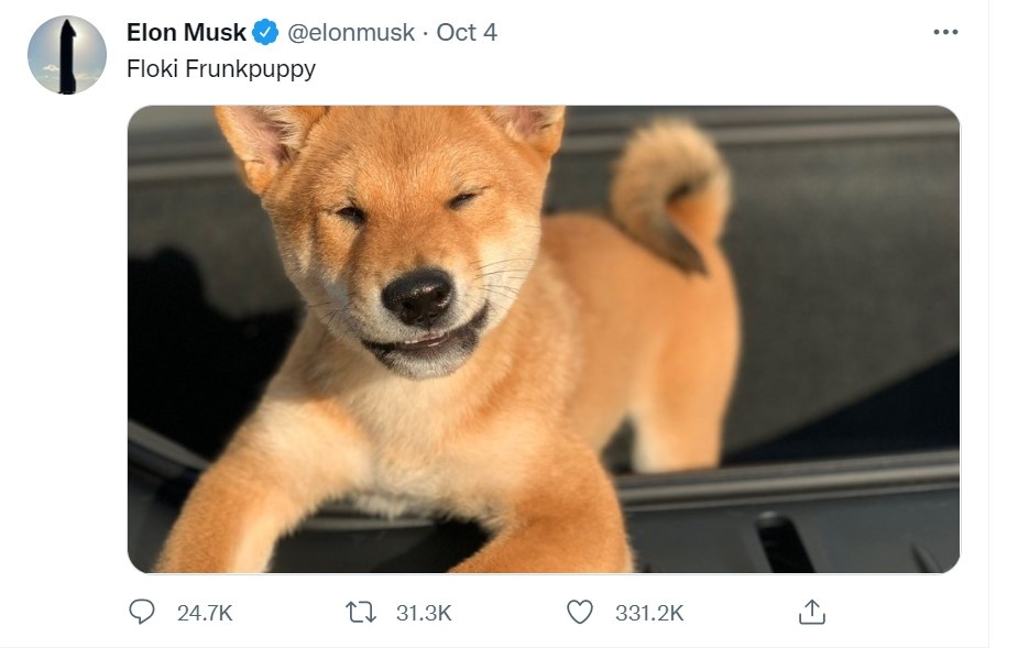 Nha dau tu tien ma hoa tai Viet Nam don hang loat tin vui anh 4