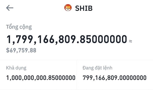 Dau tu SHIB anh 4