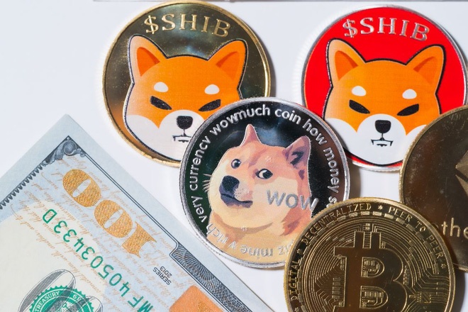 Nhieu nha dau tu Viet ban thao coin Shiba Inu hinh anh