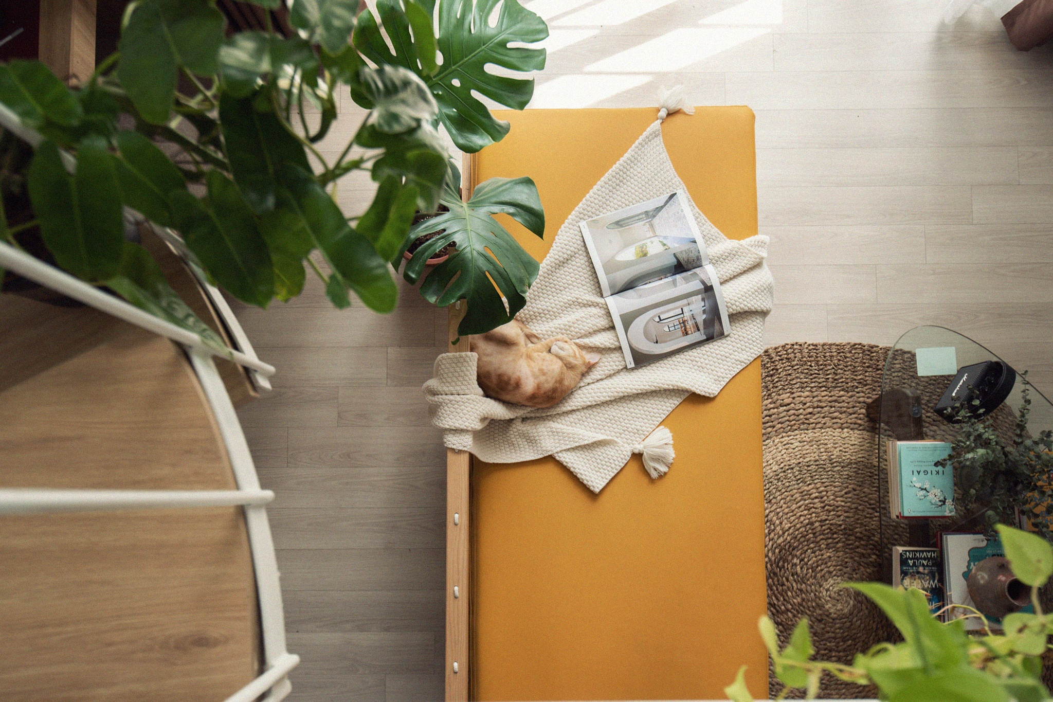 Phong ngu duplex anh 10