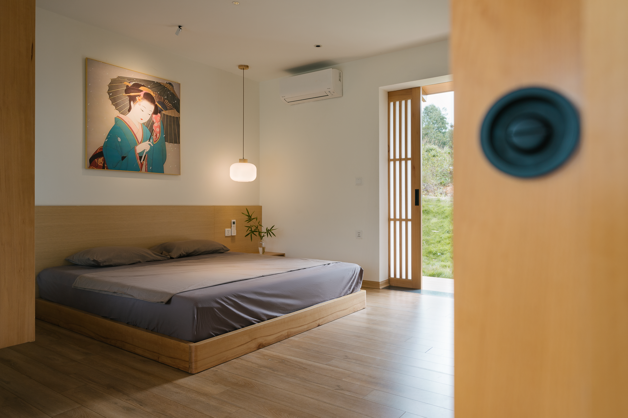 Biet thu Ba Vi anh 11