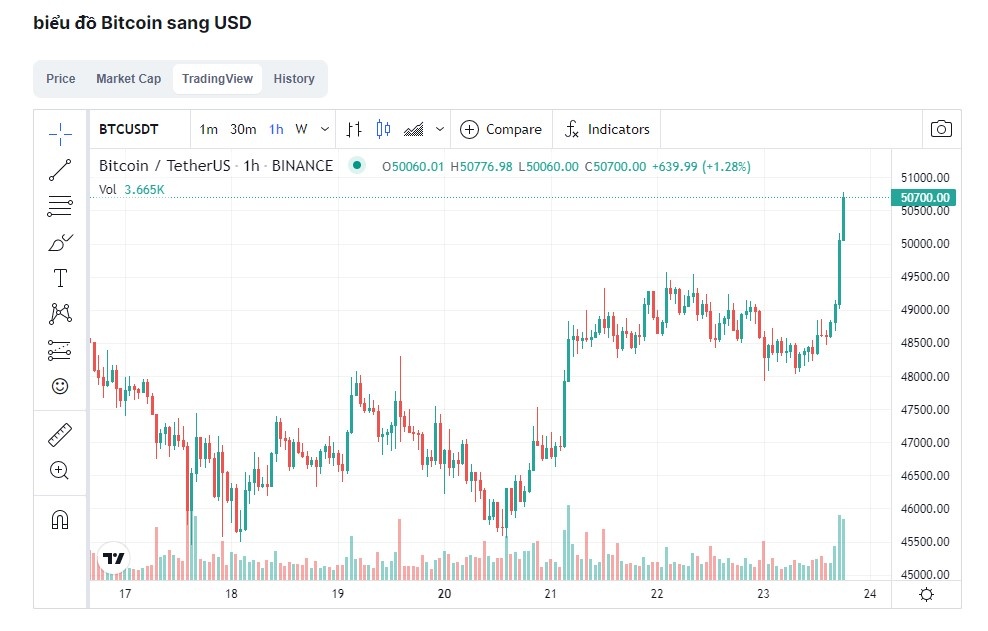 Bitcoin tang gia anh 1