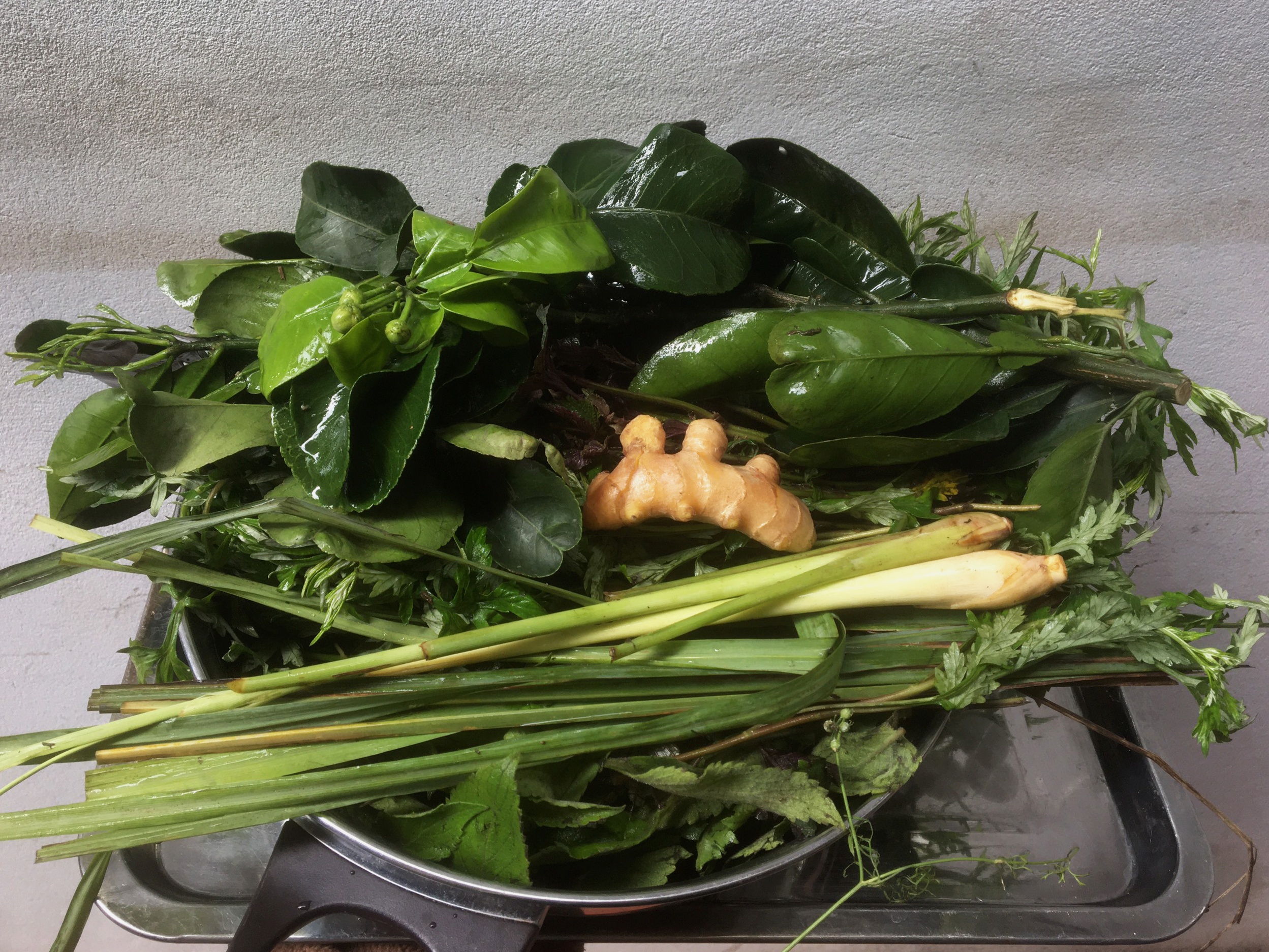 Gia sa,  chanh tang manh anh 1