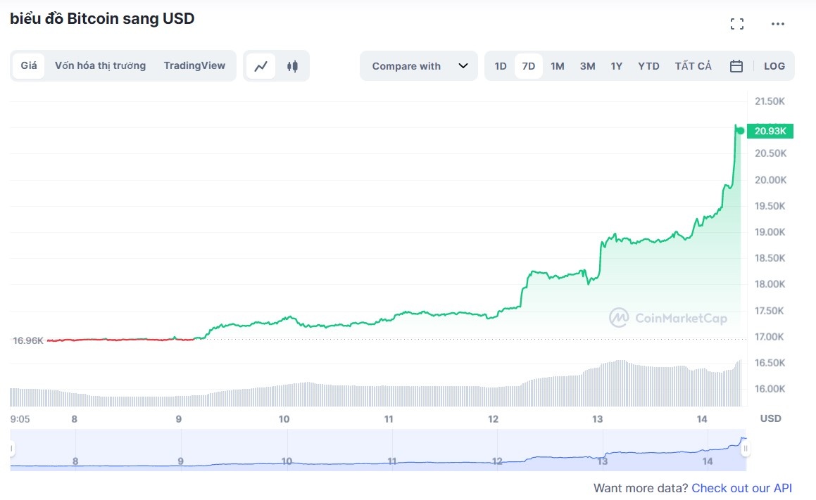 gia bitcoin tang manh,  gia bitcoin hom nay,  thi truong crypto anh 1