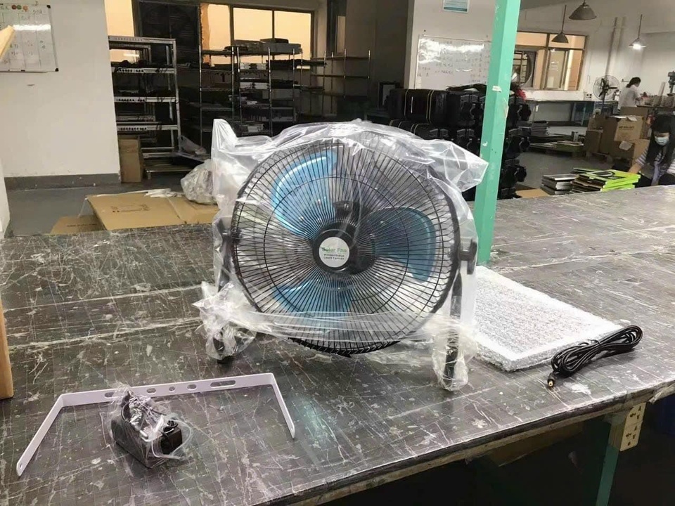 dia diem du lich,  bao cao tim kiem,  tim kiem coc coc,  mua quat tich dien,  du lich da nang anh 1