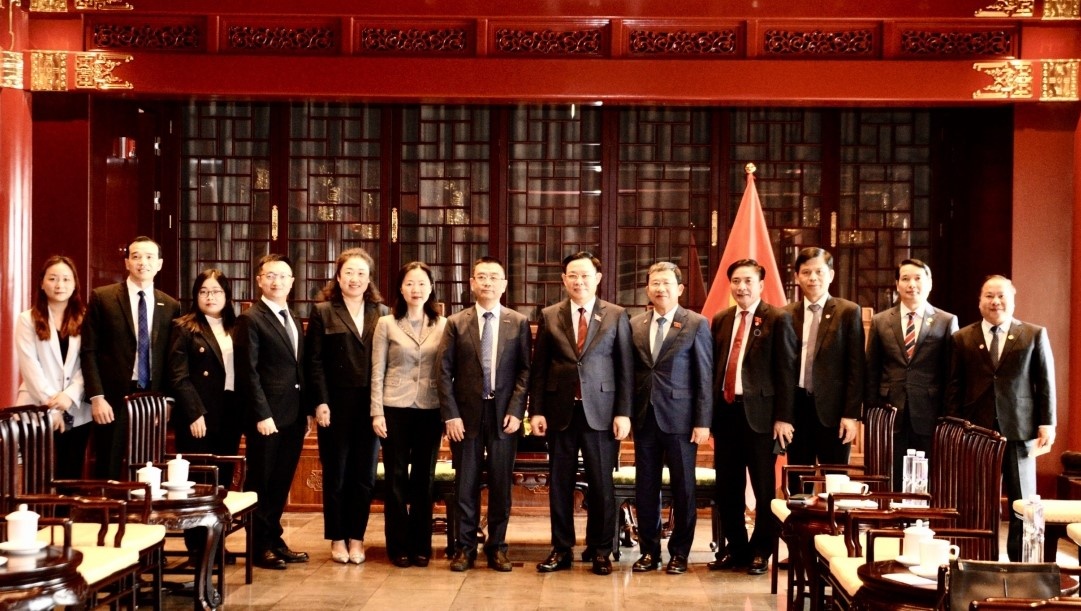 BYD de xuat chinh sach uu dai san xuat xe dien tai Viet Nam hinh anh