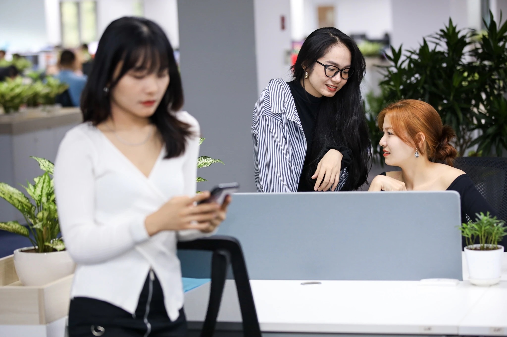 bao cao coc coc,  tu khoa tim kiem,  nguoi viet tim kiem anh 2