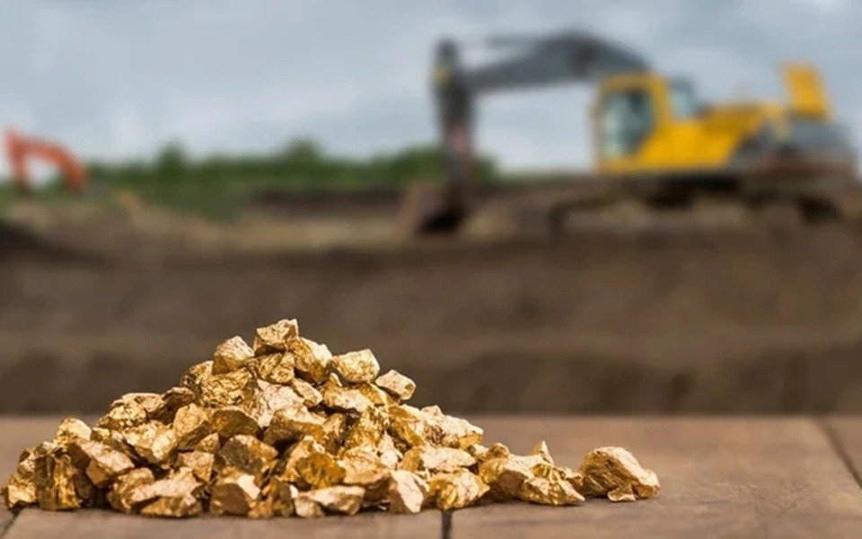 Co phieu cong ty dao vang bi ban thao theo gia vang hinh anh