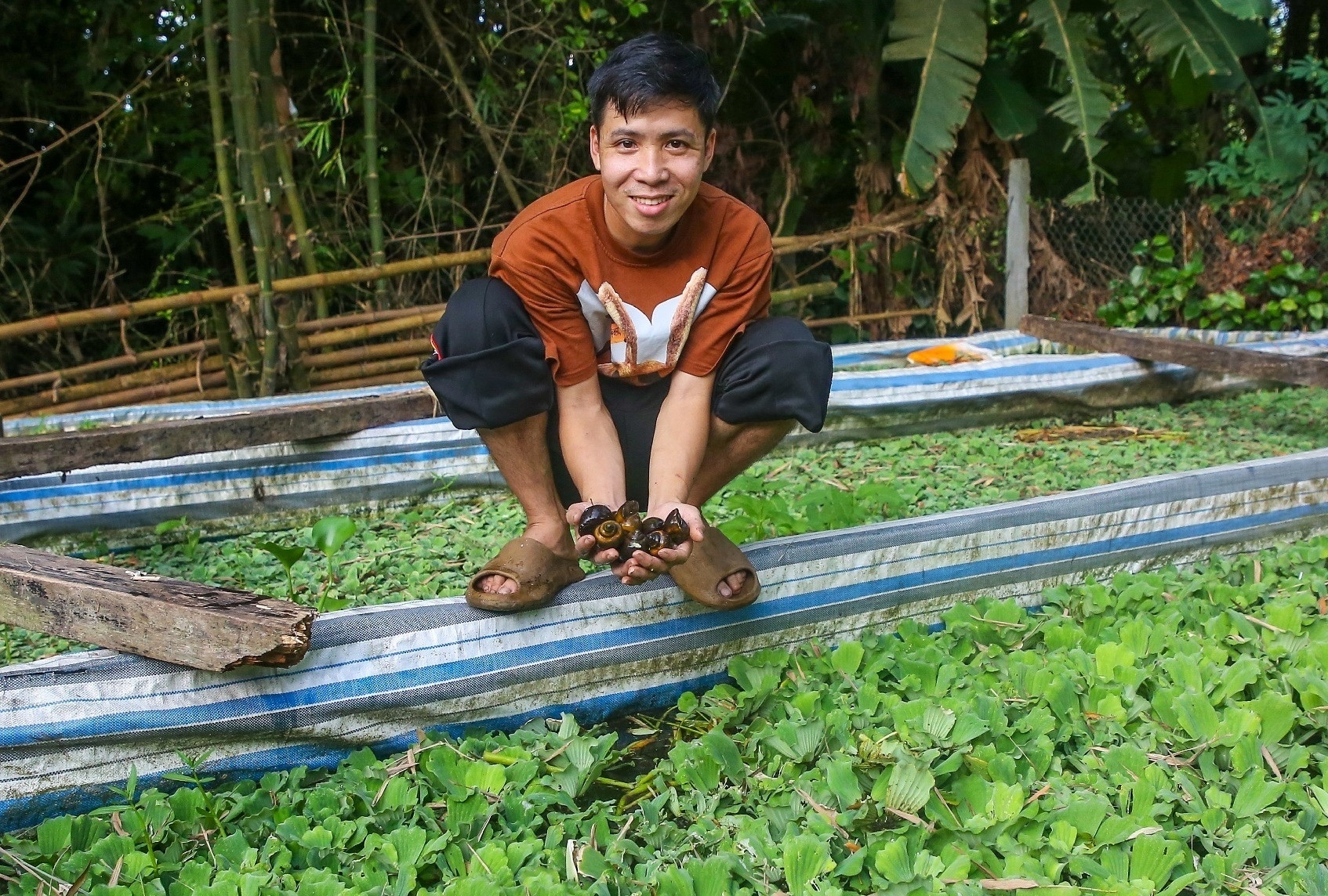 Ky su cong nghe ve que nuoi oc lai 'nhe' nua ty dong/nam hinh anh