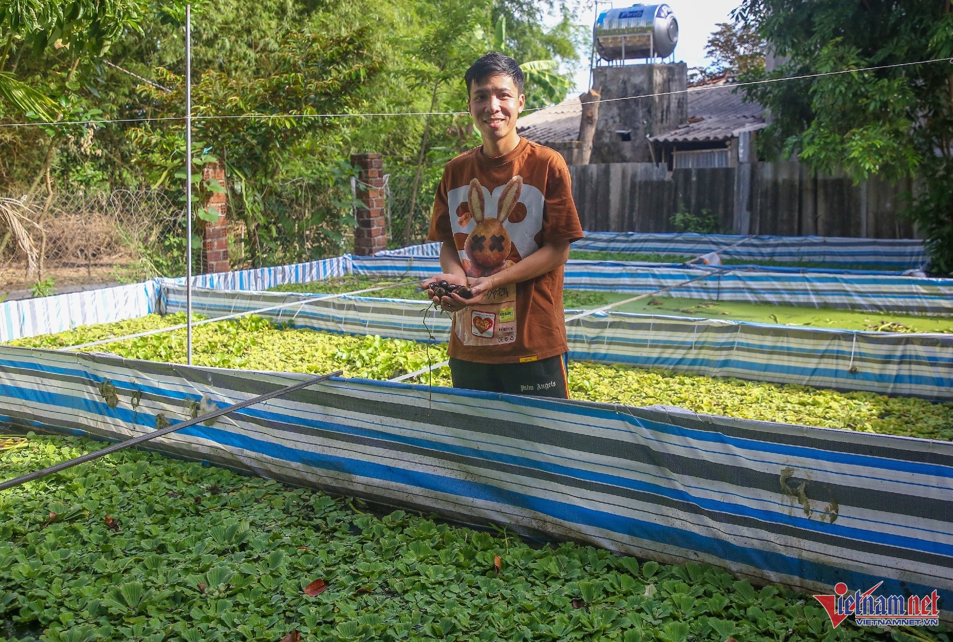 tan tao do loi,  co phieu ita anh 3