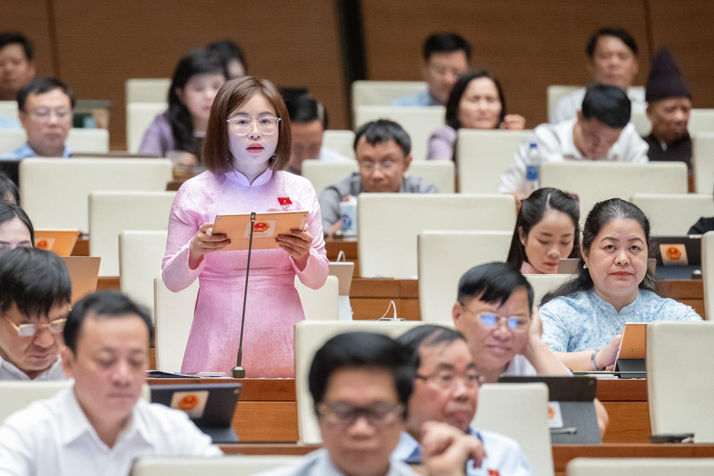 hop quoc hoi,  thao go trai phieu anh 1