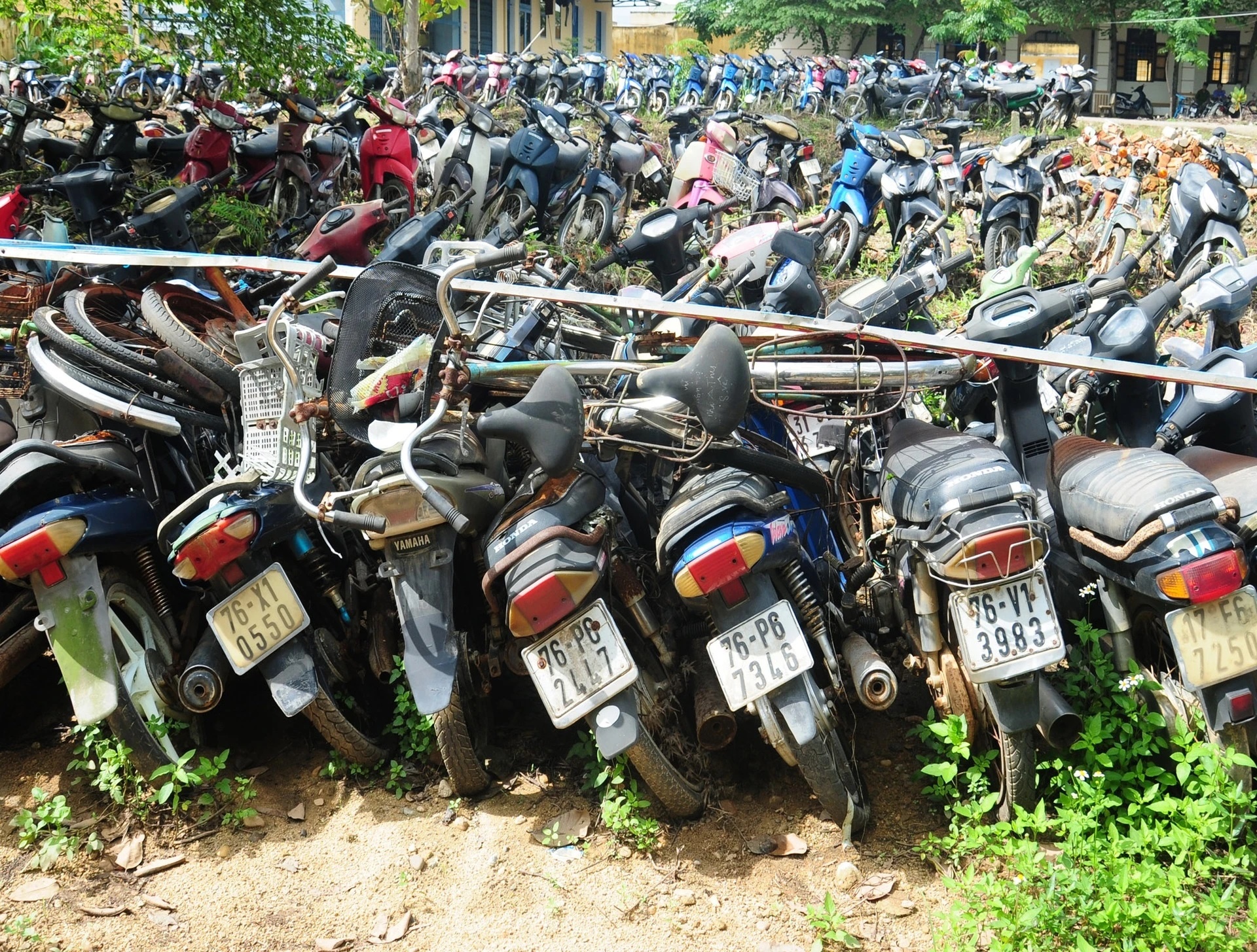 TP.HCM sap dau gia hon 100 xe may cu, binh quan 700.000 dong/xe hinh anh