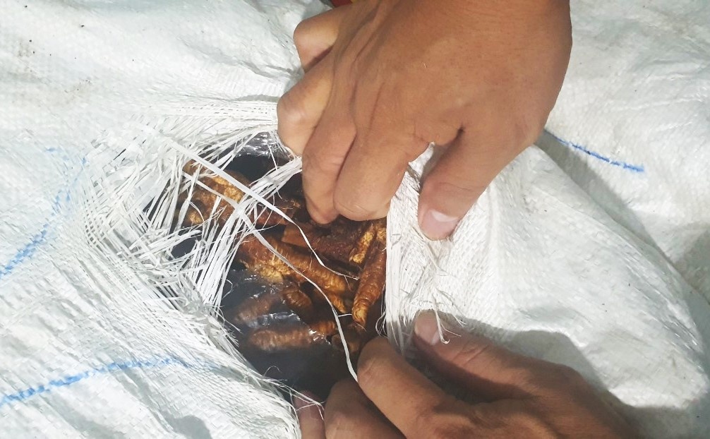 Lai Chau chan gan 2 tan chan ga boc mui sap tuon vao quan an hinh anh