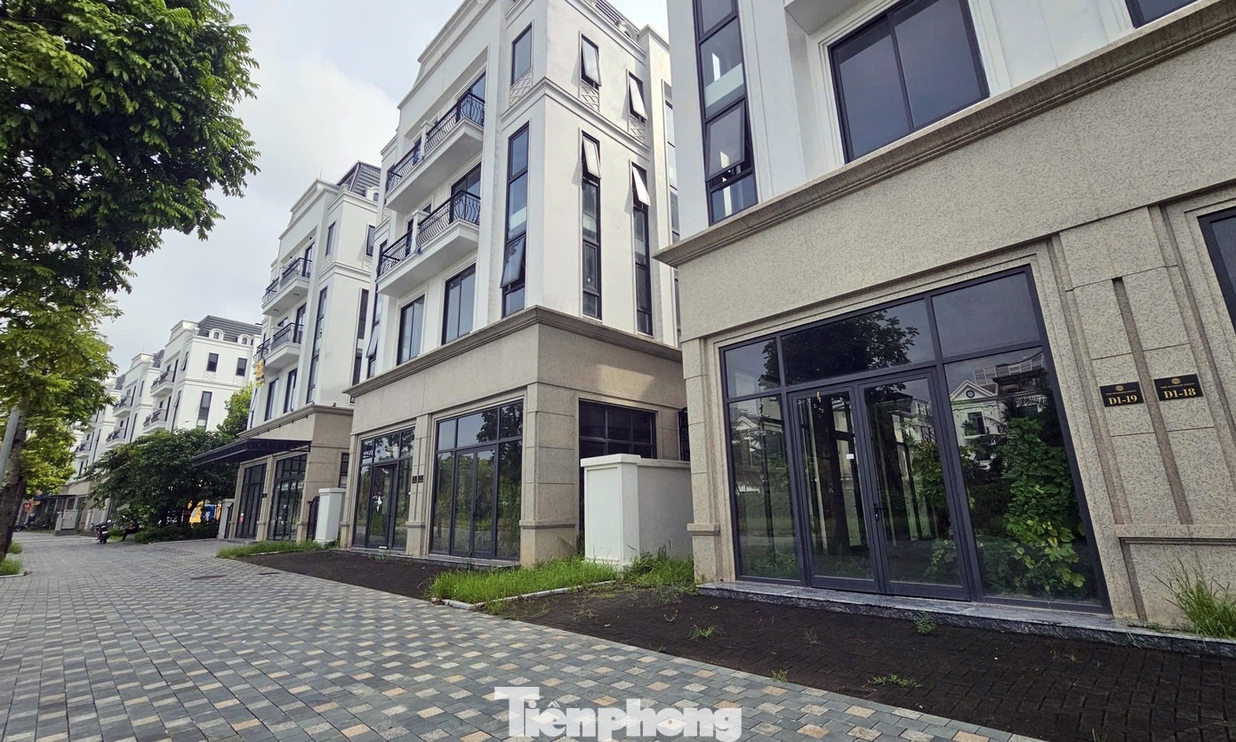 biet thu trieu usd anh 6