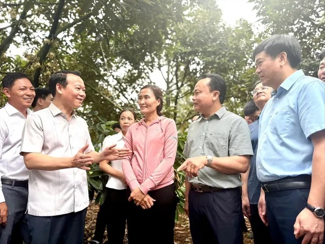 sau rieng xuat khau anh 1