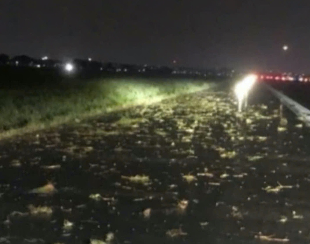 May bay truot khoi duong bang khi ha canh xuong Tan Son Nhat hinh anh